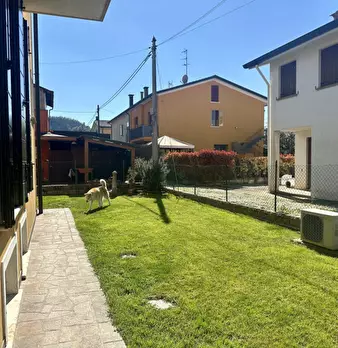 Foto annuncio 31