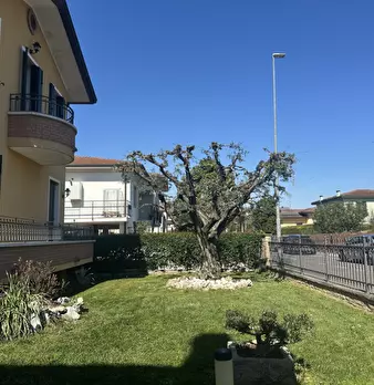 Foto annuncio 32