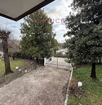 Foto annuncio 30