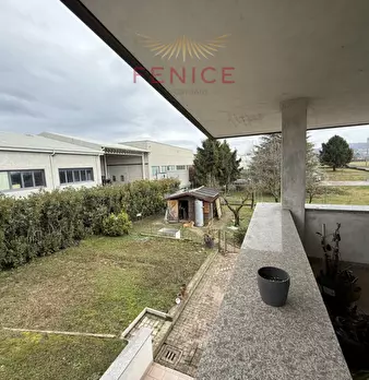 Foto annuncio 47