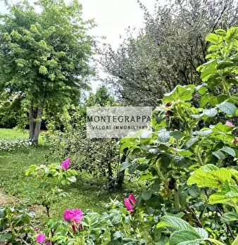 Foto annuncio 2