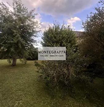 Foto annuncio 26