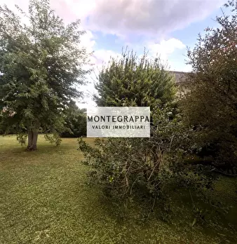Foto annuncio 27