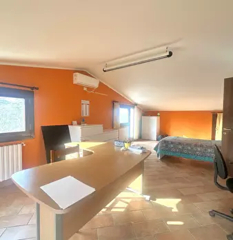 Foto annuncio 28