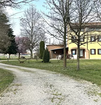 Foto annuncio 36