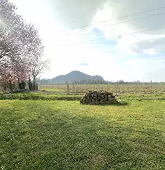 Foto annuncio 39
