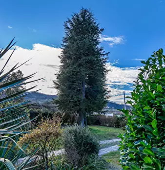 Foto annuncio 18