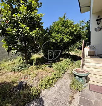 Foto annuncio 18
