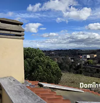 Foto annuncio 51