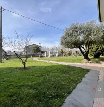 Foto annuncio 21
