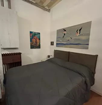Foto annuncio 6