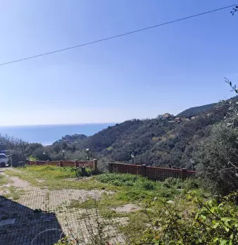 Foto annuncio 6