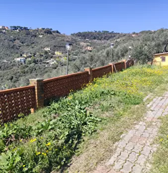 Foto annuncio 8