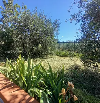 Foto annuncio 9