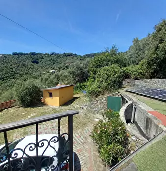 Foto annuncio 23