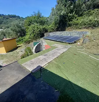 Foto annuncio 24