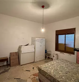 Foto annuncio 31