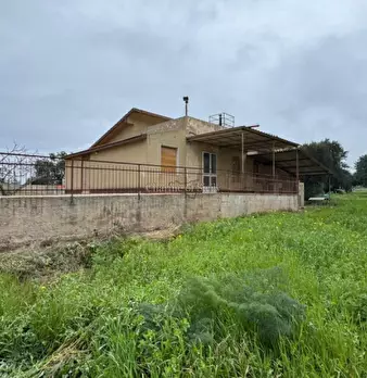 Foto annuncio 36