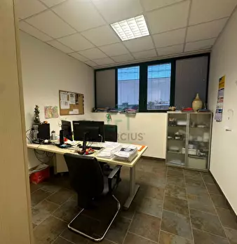 Foto annuncio 7