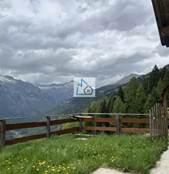 Foto annuncio 2