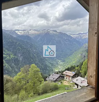 Foto annuncio 10