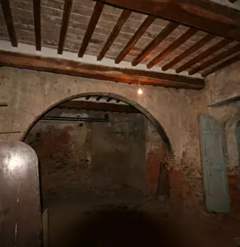 Foto annuncio 7