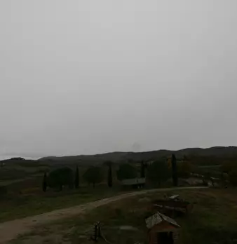 Foto annuncio 31