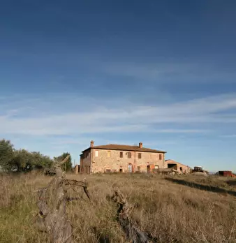 Foto annuncio 42