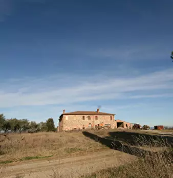 Foto annuncio 45