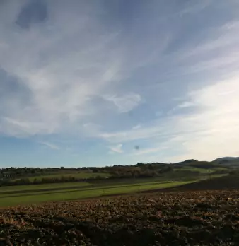 Foto annuncio 46