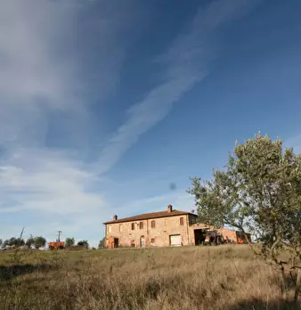 Foto annuncio 48