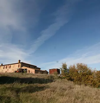Foto annuncio 49