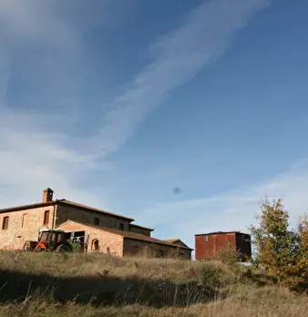 Foto annuncio 50