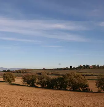 Foto annuncio 51