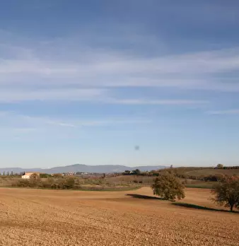 Foto annuncio 52