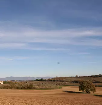 Foto annuncio 54