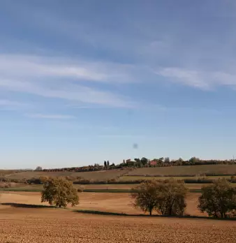 Foto annuncio 55