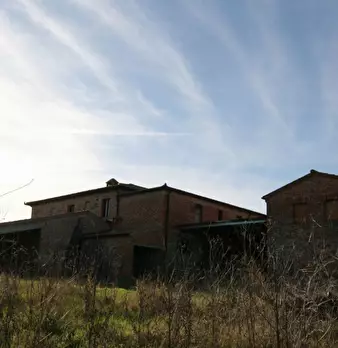 Foto annuncio 56