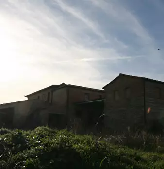 Foto annuncio 57