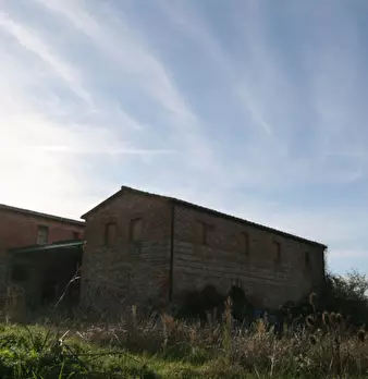 Foto annuncio 58