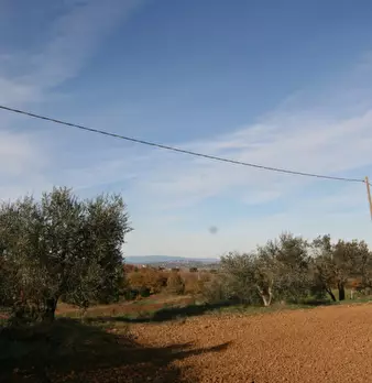 Foto annuncio 59