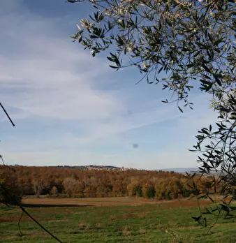 Foto annuncio 60