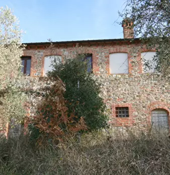Foto annuncio 61