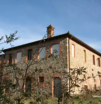 Foto annuncio 62