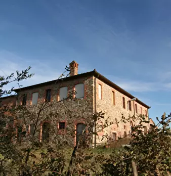 Foto annuncio 63