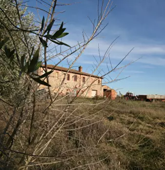 Foto annuncio 65