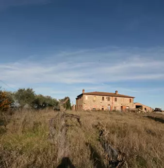 Foto annuncio 66