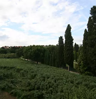 Foto annuncio 10