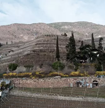 Foto annuncio 12