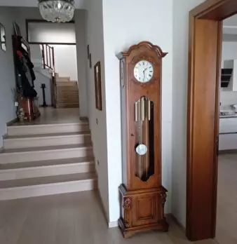 Foto annuncio 7